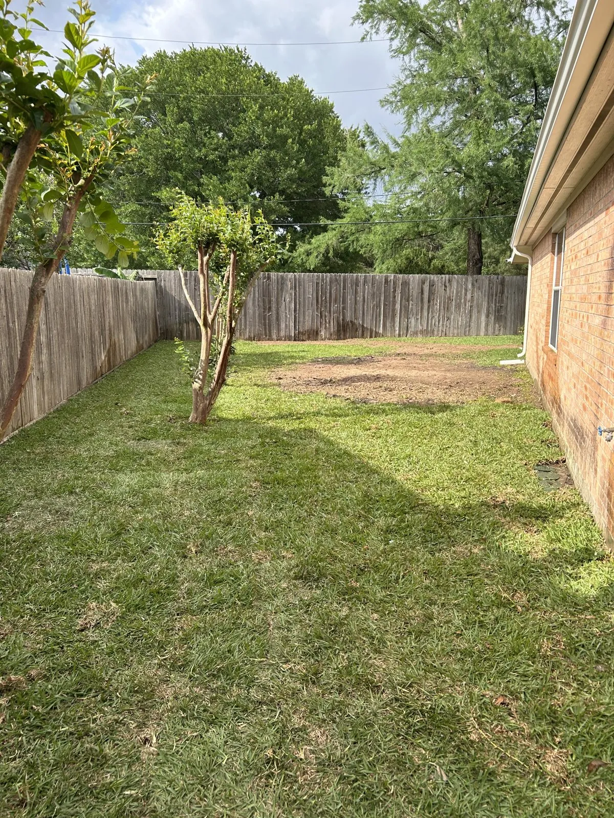 A backyard lawn between a brick home and wood fence