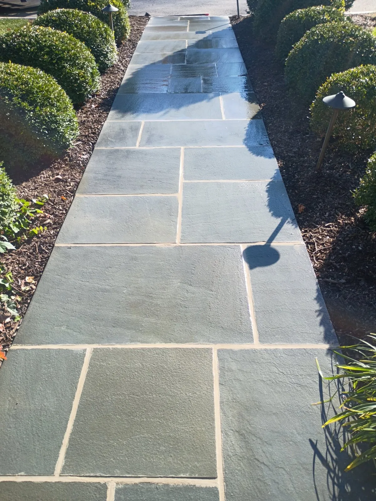 A rectangular stone path between rounded shrubs and garden lights