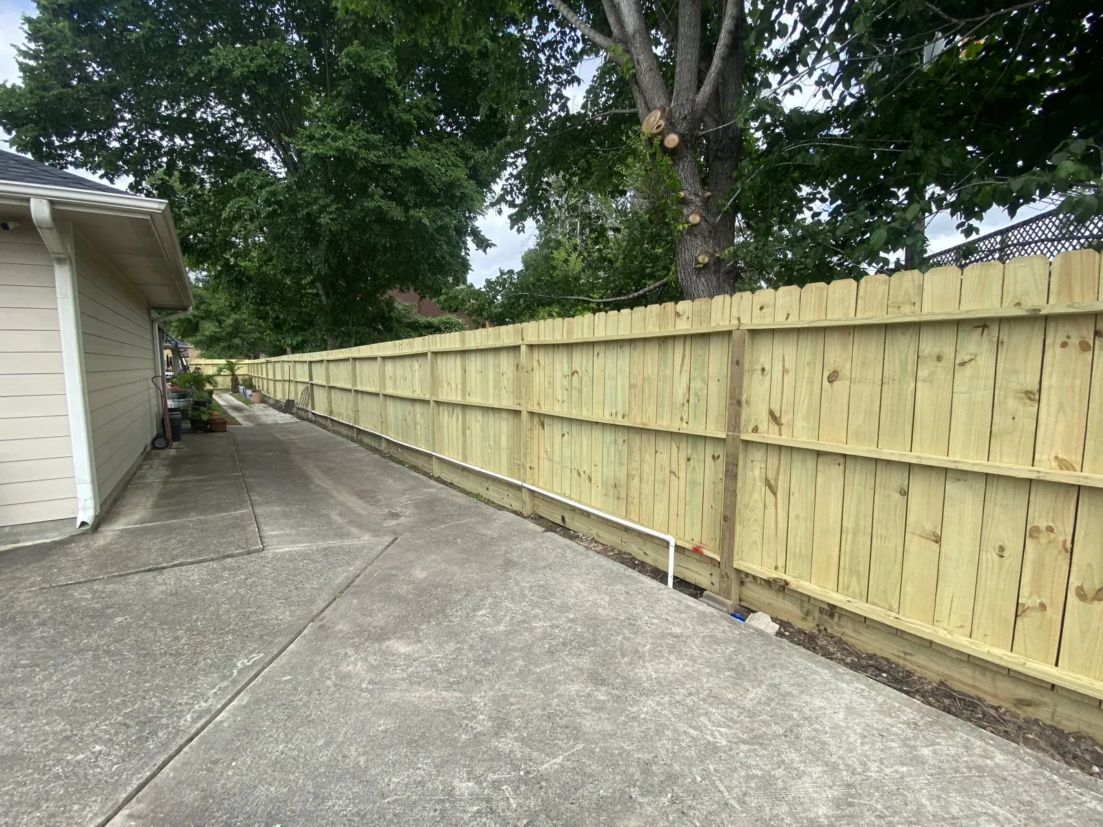 A wood privacy fence running alongside a concrete side path